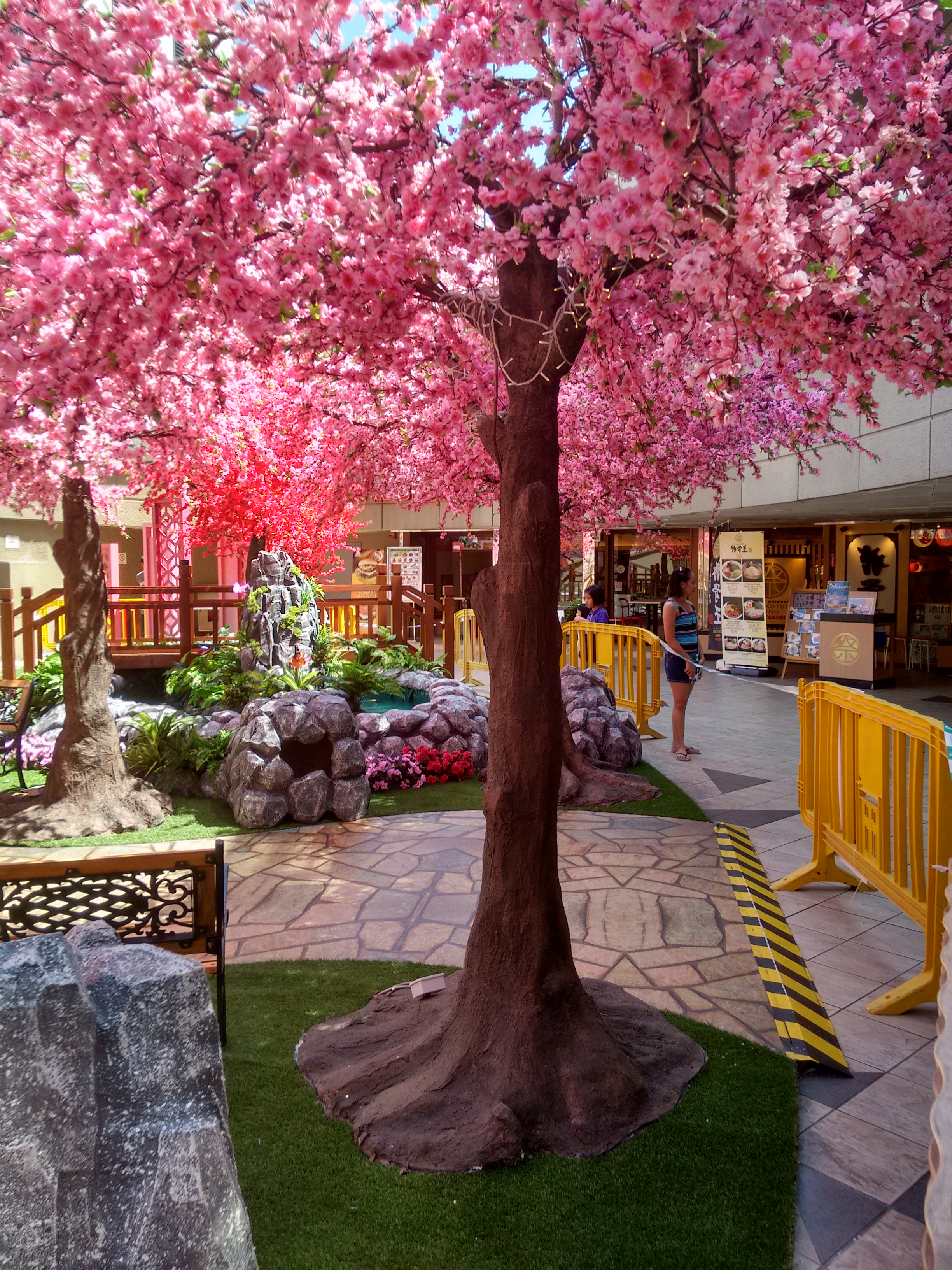 IMG_20160109_141338654_HDR