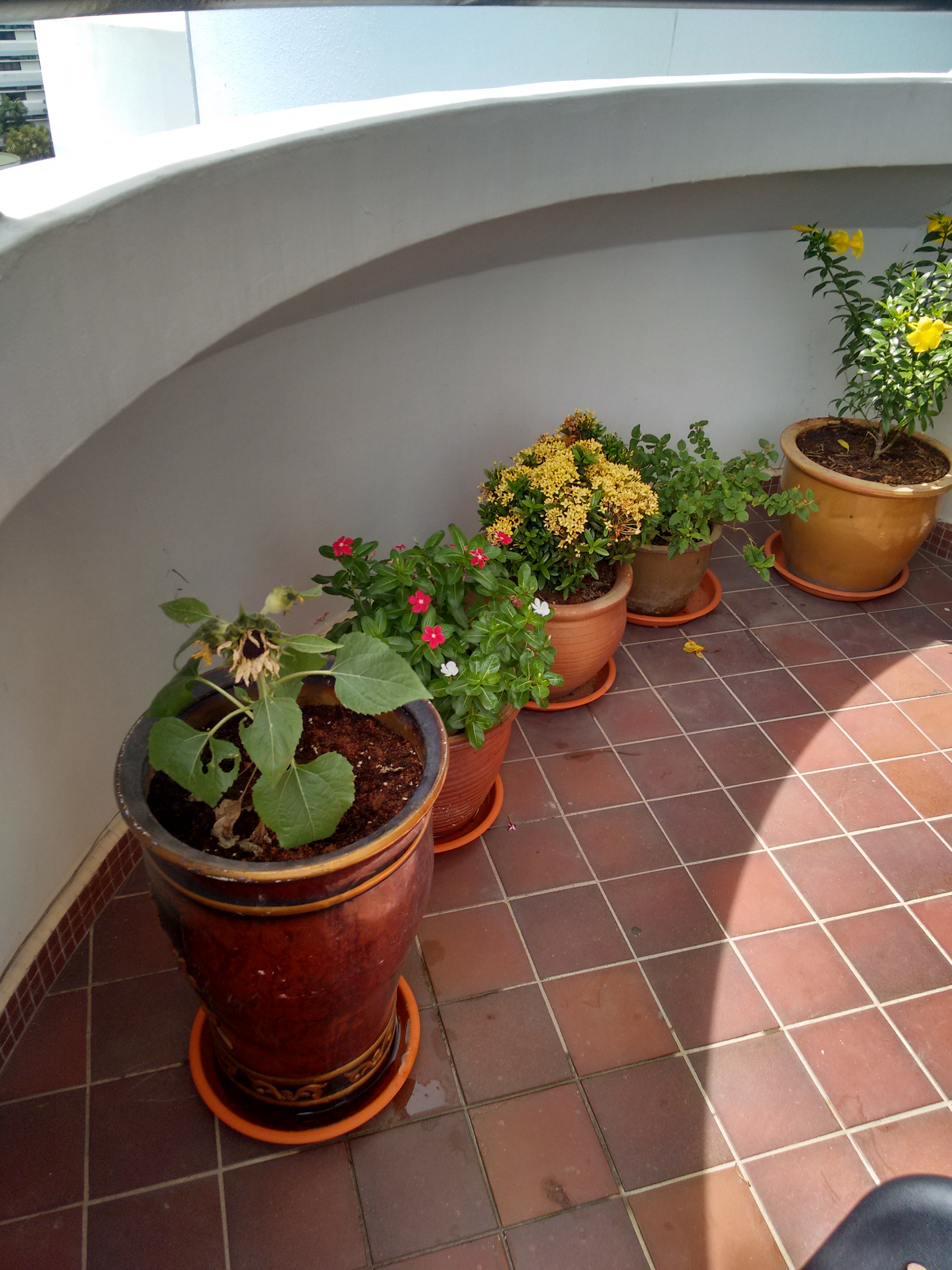 IMG_20151119_141313961_HDR