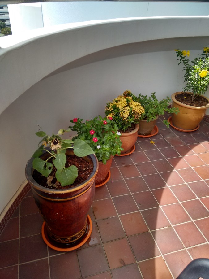 IMG_20151119_141313961_HDR